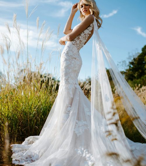 taylor-heery-0kd8P7rYk0A-unsplash taylor-heery-0kd8P7rYk0A-unsplash